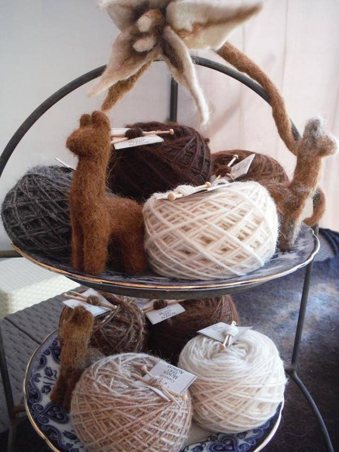 Vila Monte Frio Alpacas Nariz Exteriér fotografie