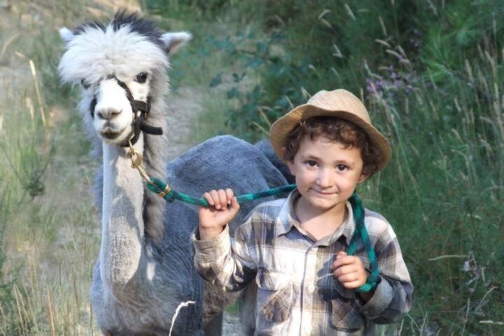 Vila Monte Frio Alpacas Nariz Exteriér fotografie